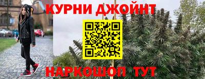 прущие грибы Нарткала
