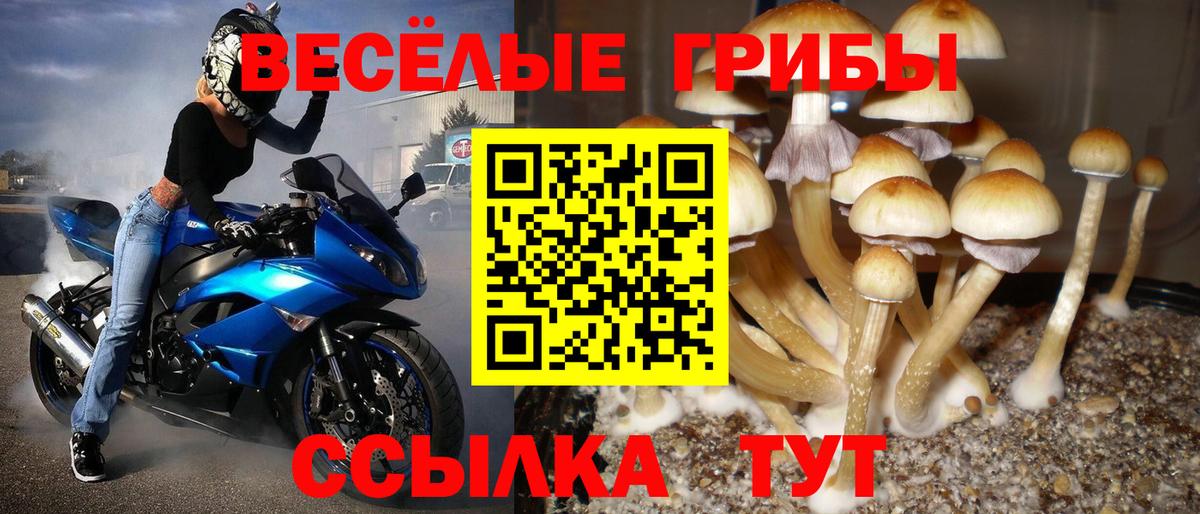 Галлюциногенные грибы Magic Shrooms Среднеуральск