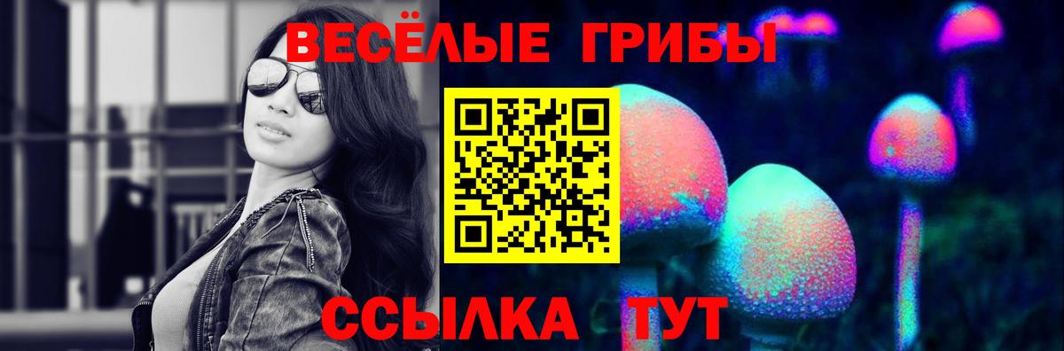 Среднеуральск  Галлюциногенные грибы ЛСД  наркота  Вход с VPN 